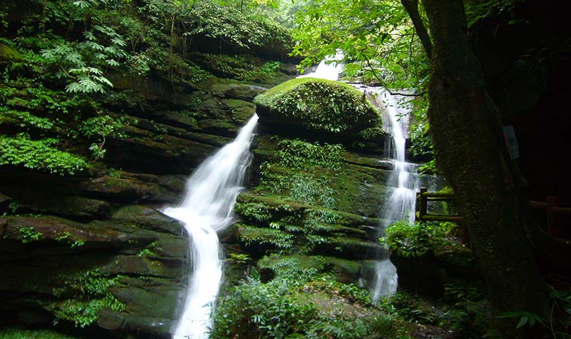 {ONEBETS}(碧峰峡旅游攻略一日游不走路) {ONEBETS}(碧峰峡旅游攻略一日游不走路)